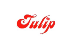 Tulip